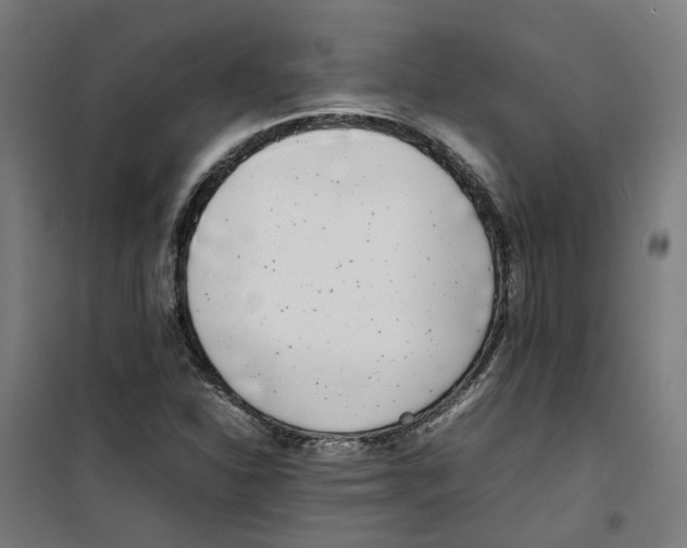 X0000100341310200807031249