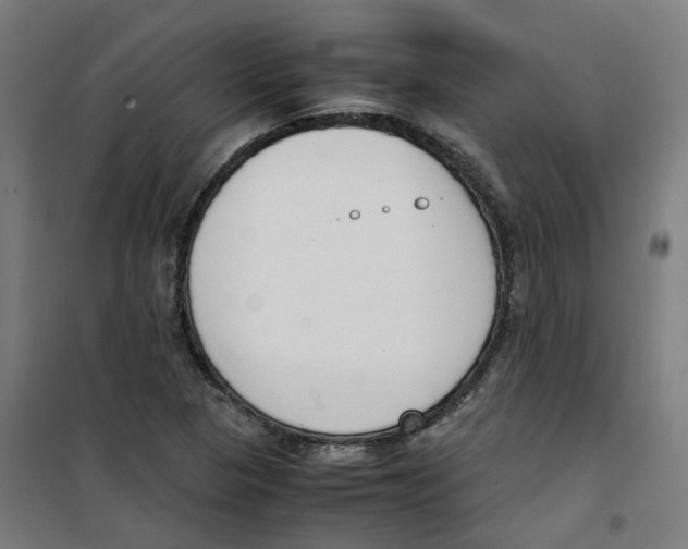 X0000100341313200807031249