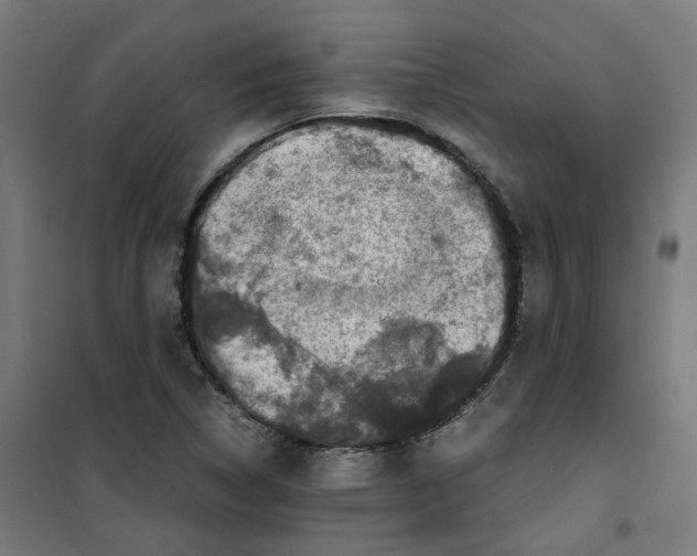 X0000100341314200807031249