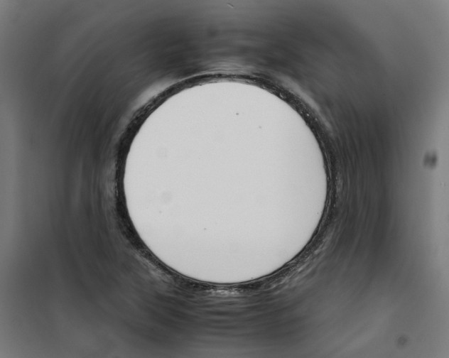 X0000100341315200807031249