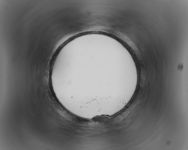 X0000100341316200807031249