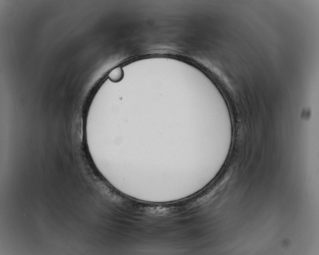 X0000100341317200807031249