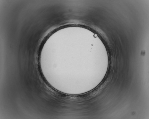 X0000100341318200807031249