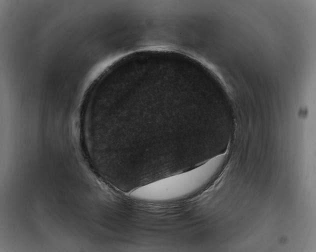 X0000100341319200807031249