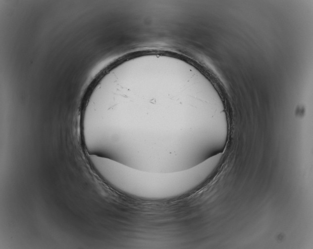 X0000100341320200807031249