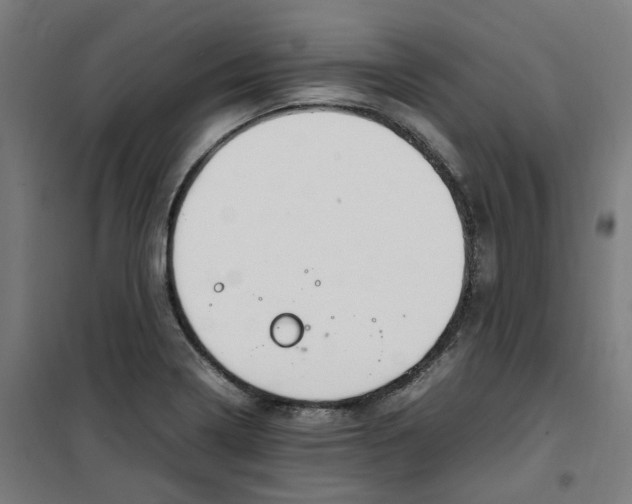 X0000100341322200807031249