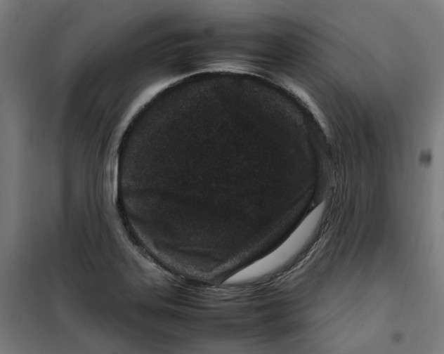 X0000100341323200807031249