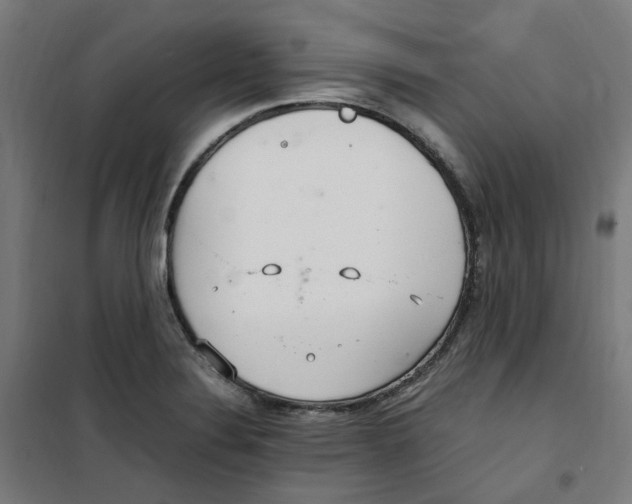 X0000100341324200807031249