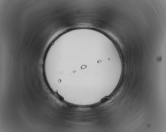 X0000100341325200807031249