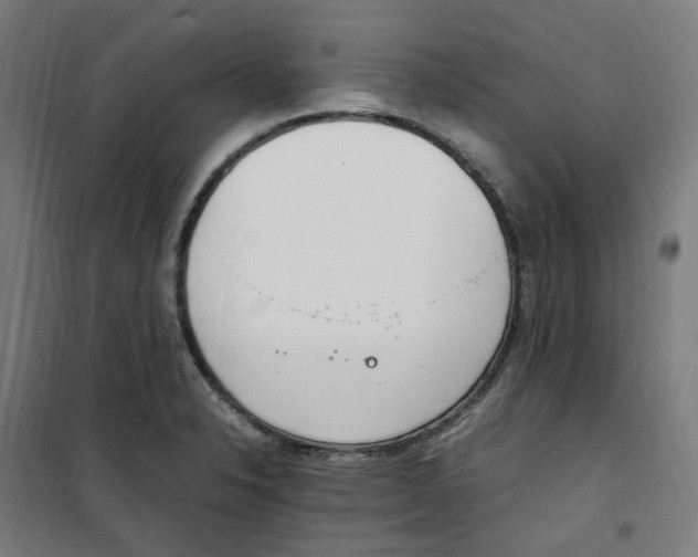 X0000100341326200807031249