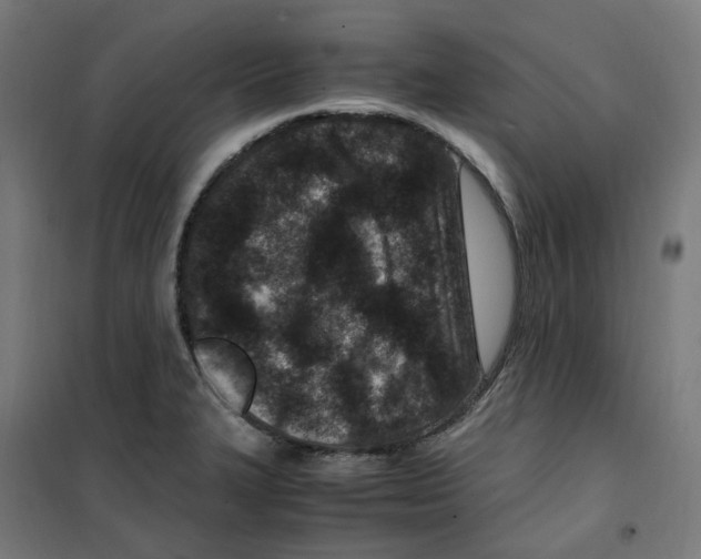 X0000100341327200807031249