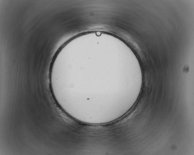 X0000100341328200807031249