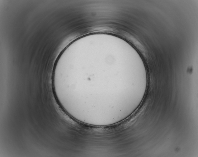 X0000100341330200807031249