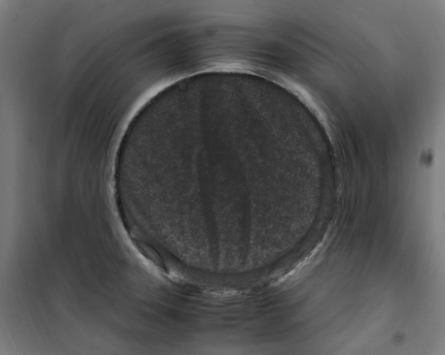 X0000100341331200807031249