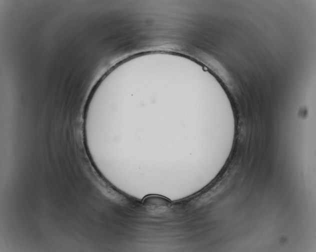 X0000100341332200807031249