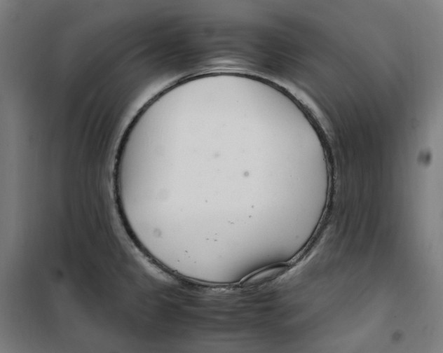 X0000100341333200807031249