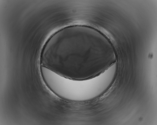 X0000100341334200807031249