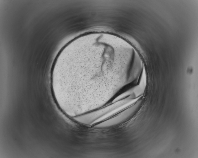 X0000100341335200807031249