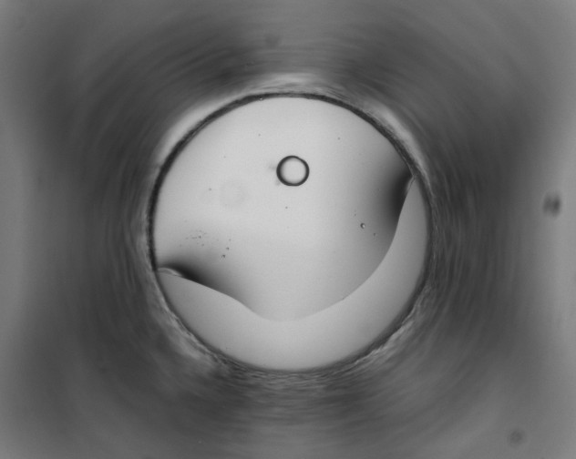 X0000100341336200807031249