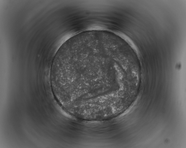 X0000100341337200807031249