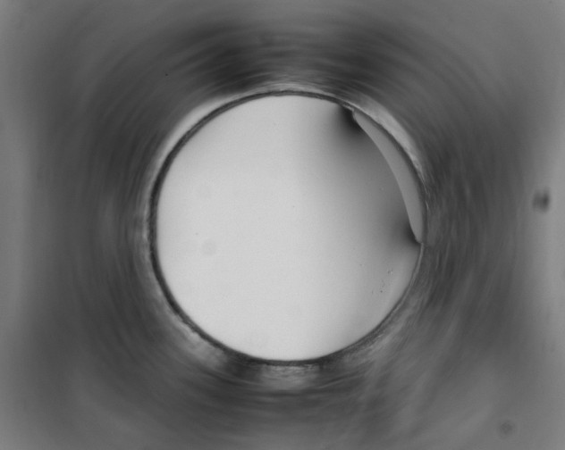 X0000100341339200807031249