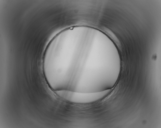 X0000100341340200807031249