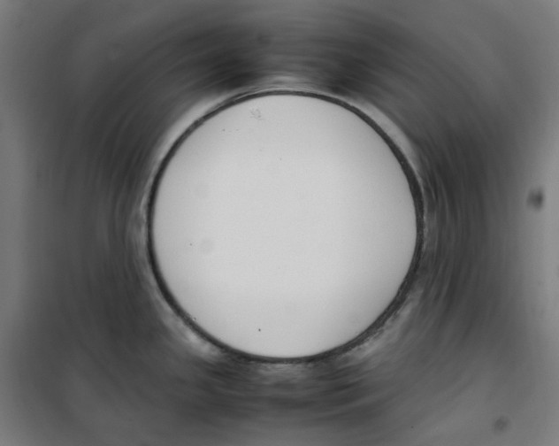 X0000100341341200807031250