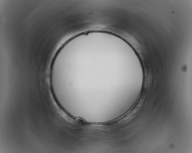 X0000100341342200807031250