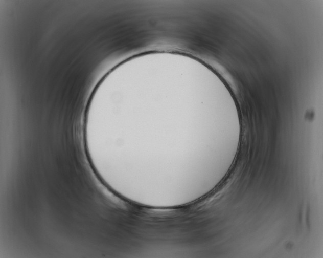 X0000100341343200807031250