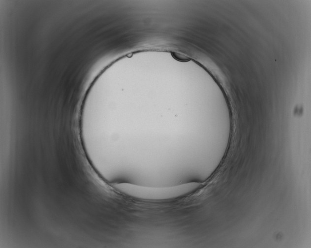 X0000100341344200807031250