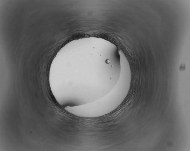 X0000100341345200807031249