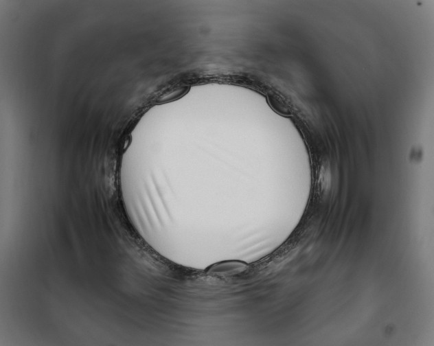 X0000100341348200807031249