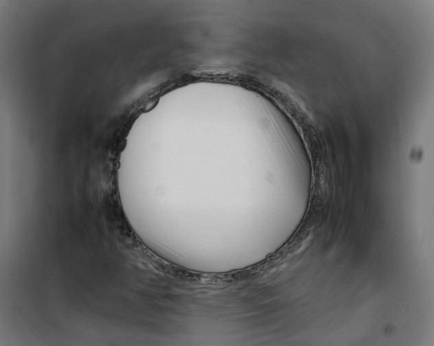 X0000100341350200807031249