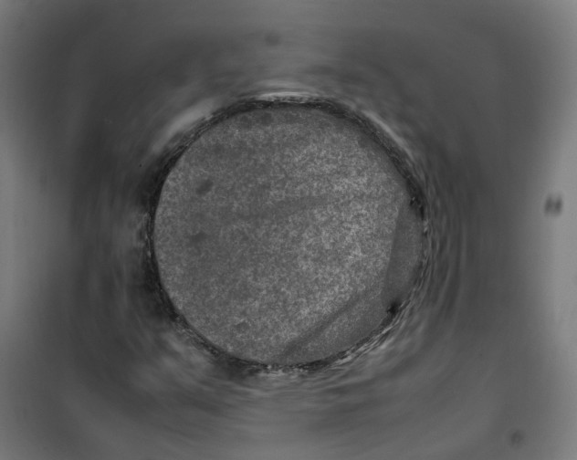 X0000100341351200807031249