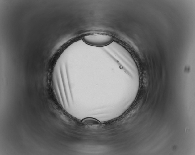 X0000100341352200807031249