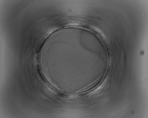 X0000100341353200807031249