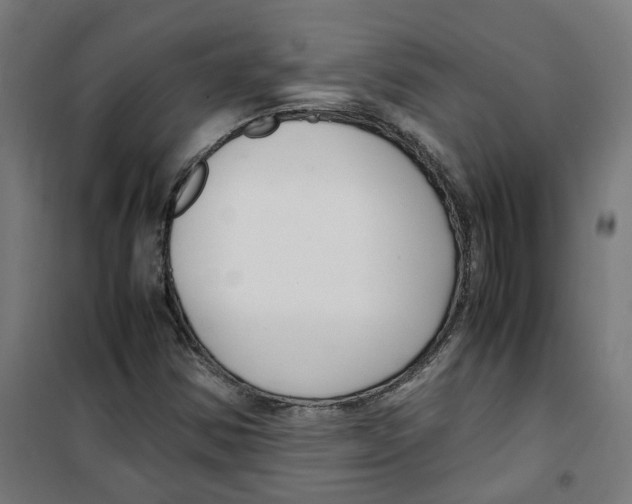 X0000100341354200807031249