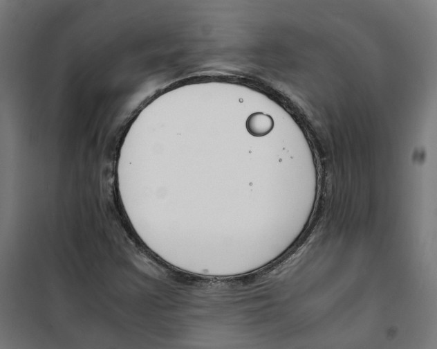 X0000100341355200807031249