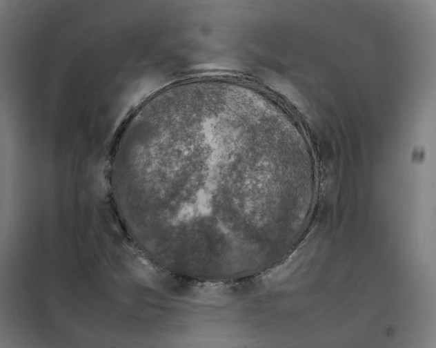 X0000100341357200807031249