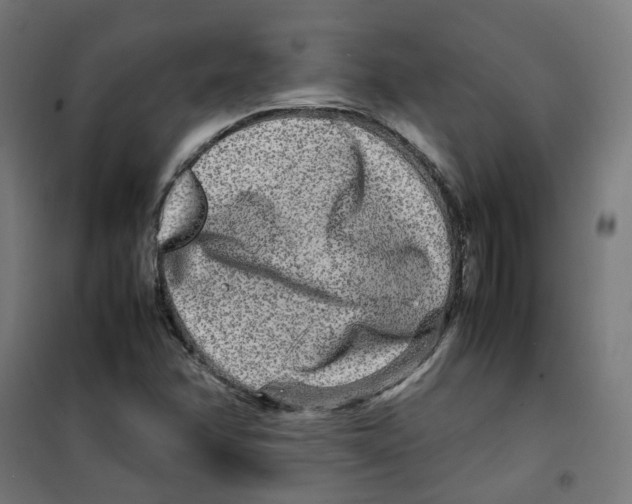 X0000100341358200807031249