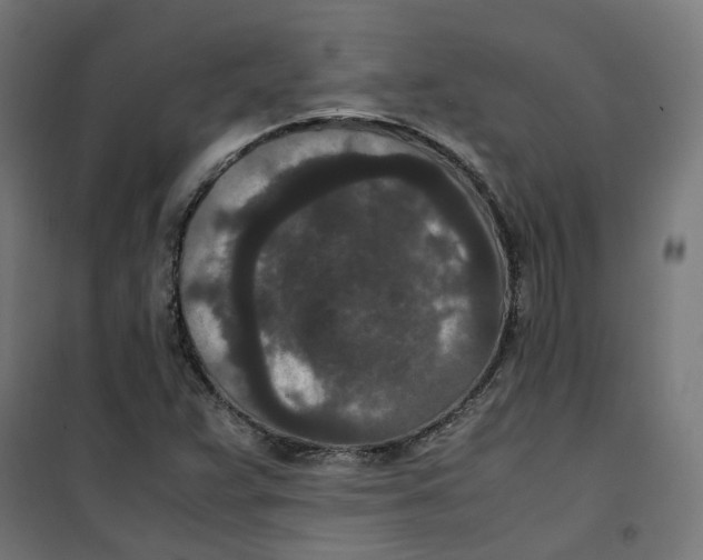 X0000100341359200807031249