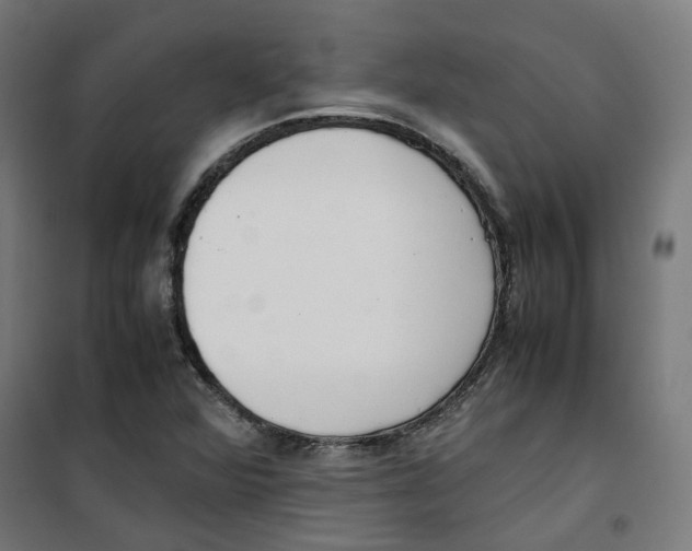 X0000100341360200807031248