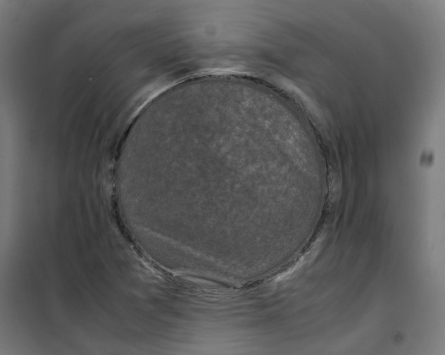 X0000100341361200807031248