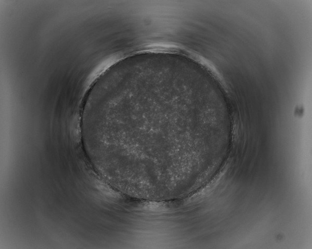 X0000100341362200807031248