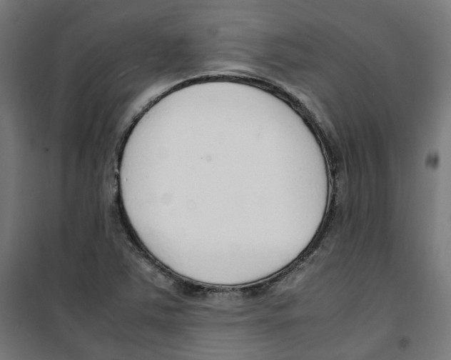 X0000100341363200807031248