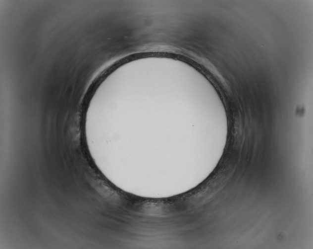 X0000100341364200807031248