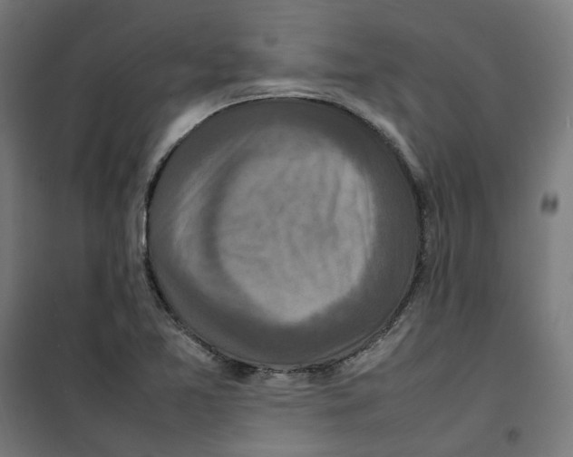 X0000100341365200807031248