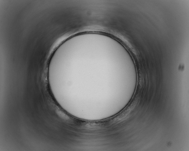 X0000100341366200807031248