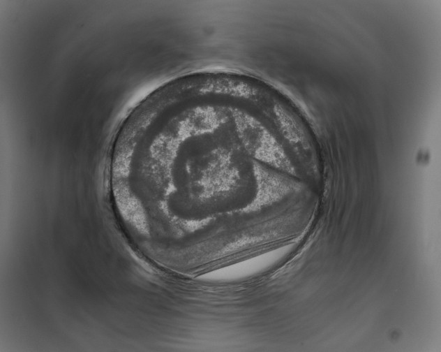 X0000100341367200807031248