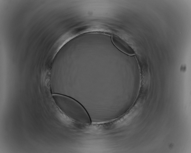 X0000100341369200807031248